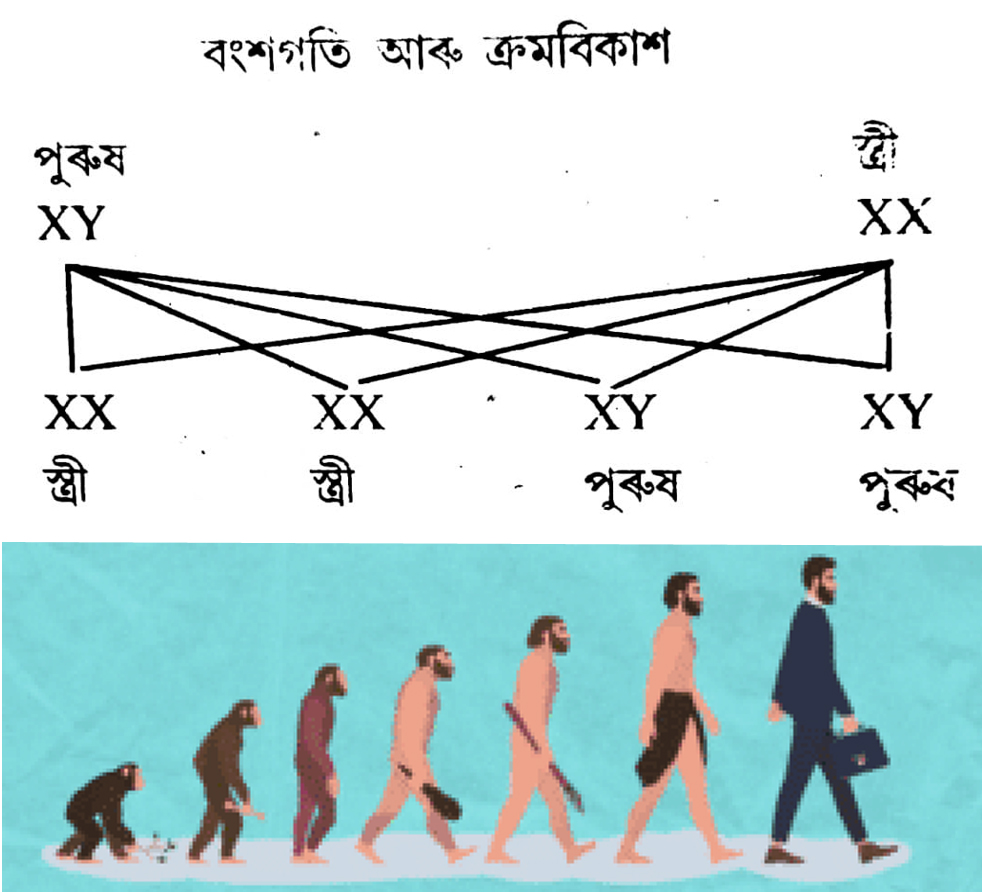 Class 10 science chapter 9 question answer