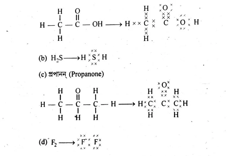 class 10 science ch 4 seba