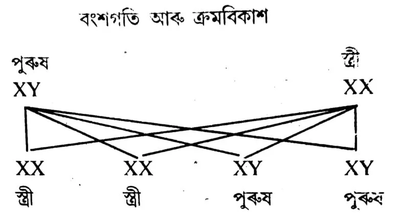 class 10 science ch 9